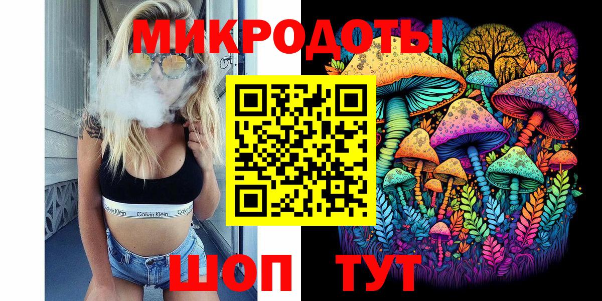 Галлюциногенные грибы Psilocybine cubensis Алейск
