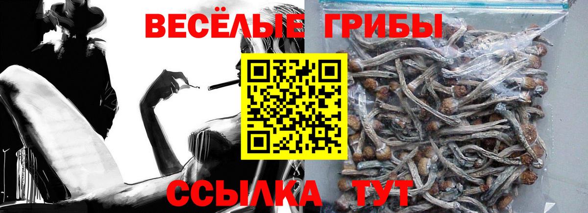 Галлюциногенные грибы прущие грибы  Вход с VPN  Псилоцибиновые грибы мухоморы  Алейск 